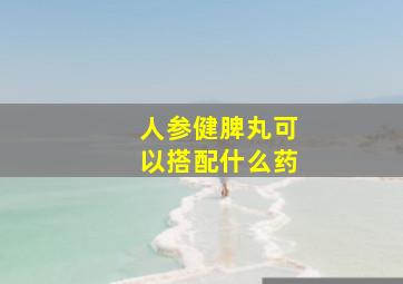 人参健脾丸可以搭配什么药