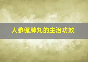 人参健脾丸的主治功效