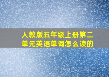 人教版五年级上册第二单元英语单词怎么读的