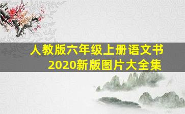 人教版六年级上册语文书2020新版图片大全集