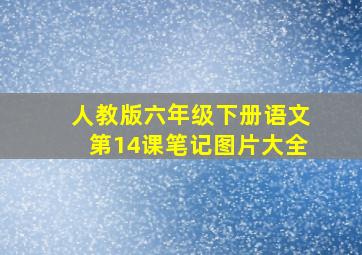 人教版六年级下册语文第14课笔记图片大全