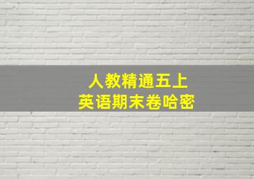 人教精通五上英语期末卷哈密