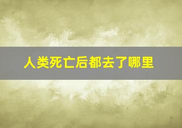 人类死亡后都去了哪里