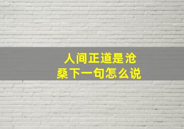 人间正道是沧桑下一句怎么说