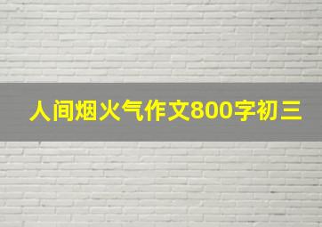 人间烟火气作文800字初三