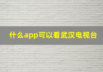 什么app可以看武汉电视台