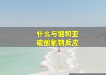 什么与饱和亚硫酸氢钠反应