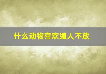 什么动物喜欢缠人不放