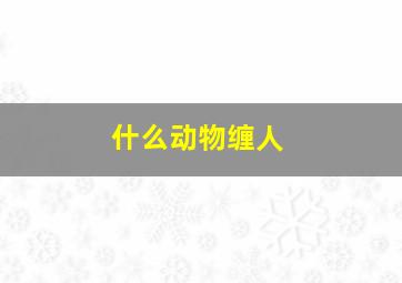 什么动物缠人