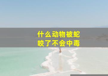 什么动物被蛇咬了不会中毒