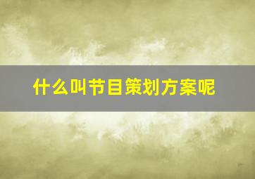 什么叫节目策划方案呢