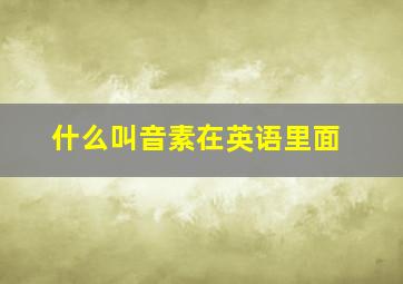 什么叫音素在英语里面