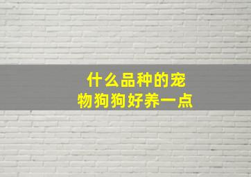 什么品种的宠物狗狗好养一点