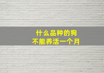 什么品种的狗不能养活一个月