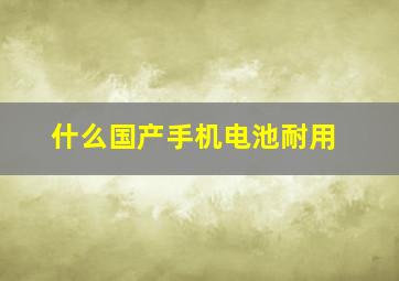 什么国产手机电池耐用