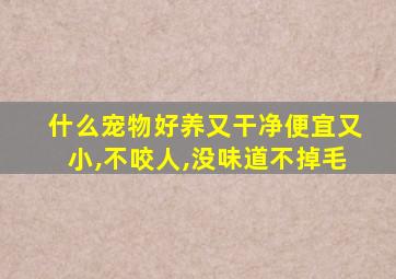 什么宠物好养又干净便宜又小,不咬人,没味道不掉毛