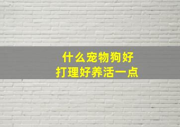 什么宠物狗好打理好养活一点