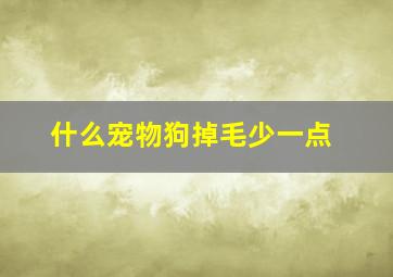 什么宠物狗掉毛少一点