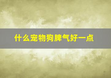 什么宠物狗脾气好一点