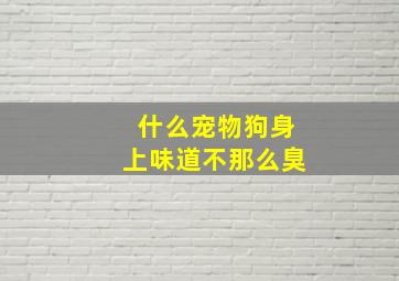 什么宠物狗身上味道不那么臭