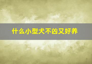 什么小型犬不凶又好养