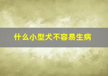 什么小型犬不容易生病