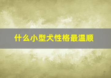 什么小型犬性格最温顺