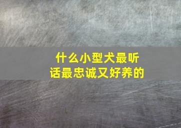 什么小型犬最听话最忠诚又好养的