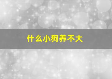 什么小狗养不大