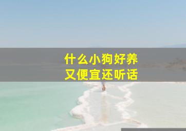 什么小狗好养又便宜还听话