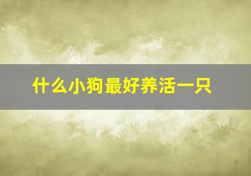 什么小狗最好养活一只