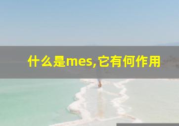 什么是mes,它有何作用