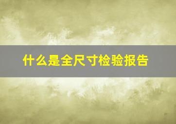 什么是全尺寸检验报告