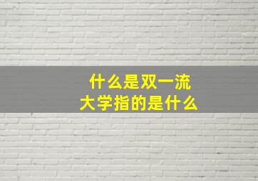 什么是双一流大学指的是什么