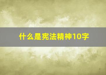 什么是宪法精神10字