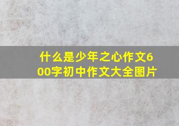 什么是少年之心作文600字初中作文大全图片