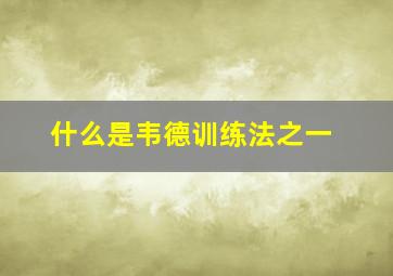 什么是韦德训练法之一