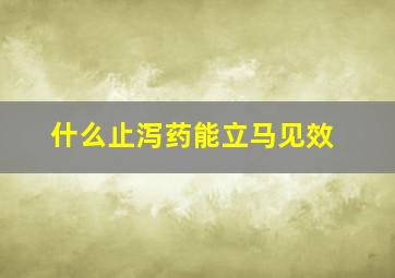 什么止泻药能立马见效