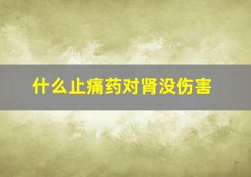 什么止痛药对肾没伤害