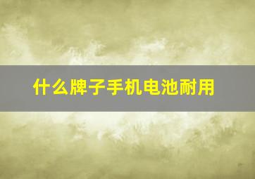 什么牌子手机电池耐用