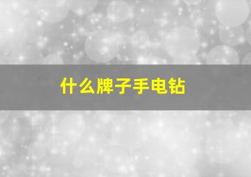 什么牌子手电钻