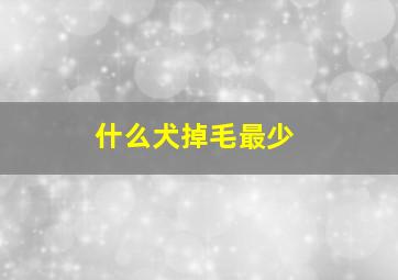 什么犬掉毛最少