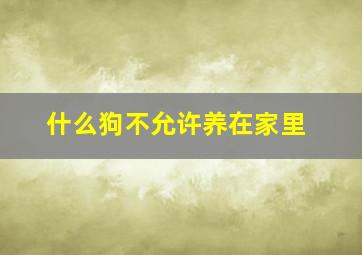 什么狗不允许养在家里