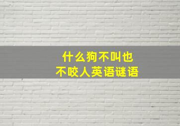 什么狗不叫也不咬人英语谜语