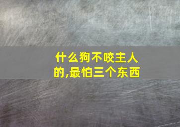 什么狗不咬主人的,最怕三个东西