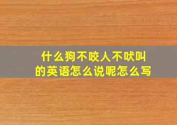 什么狗不咬人不吠叫的英语怎么说呢怎么写