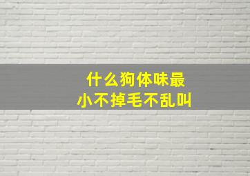 什么狗体味最小不掉毛不乱叫