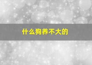 什么狗养不大的