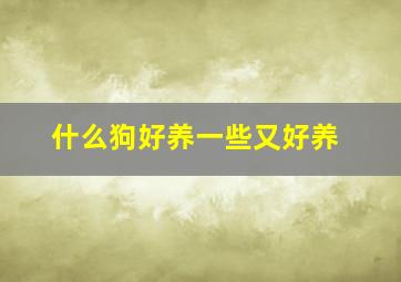 什么狗好养一些又好养