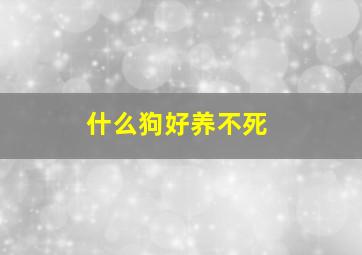 什么狗好养不死